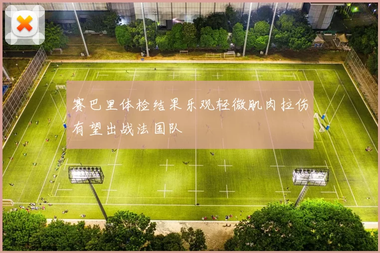 赛巴里体检结果乐观轻微肌肉拉伤有望出战法国队