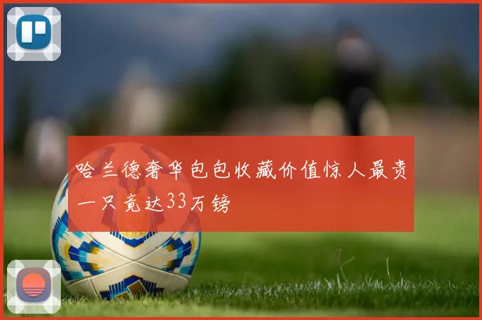 哈兰德奢华包包收藏价值惊人最贵一只竟达33万镑